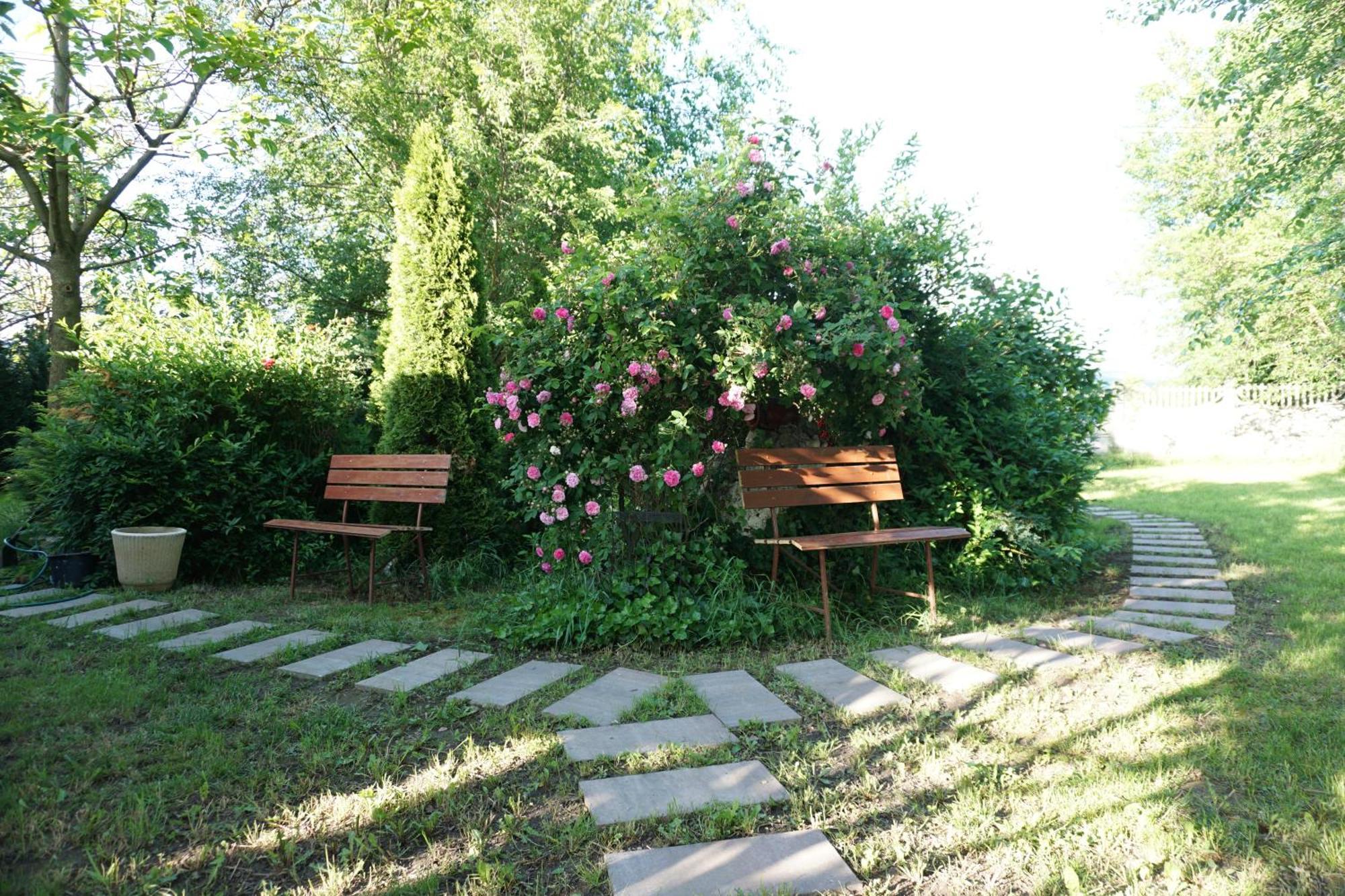 Villa Hanna'S Garden - Mintia מראה חיצוני תמונה